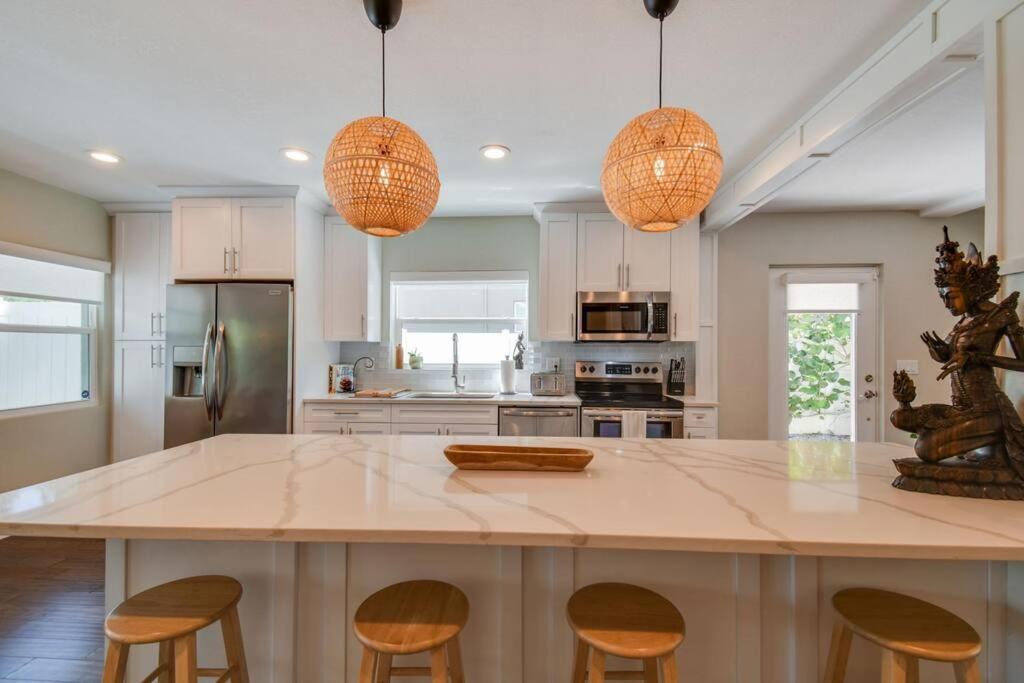 Luxury Home In The Heart Of South Tampa & Pool! 외부 사진